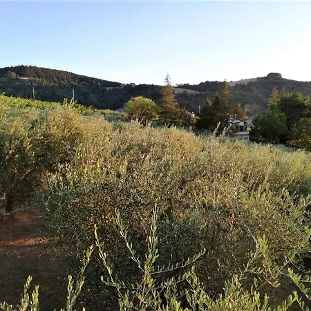 Naturaliterre - Microfattoria Dovadola