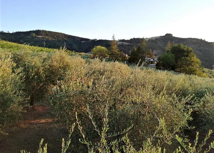 Naturaliterre - Microfattoria Dovadola