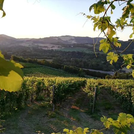 Naturaliterre - Microfattoria Alojamento de Acomodação e Pequeno-almoço 3*