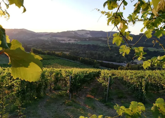 Naturaliterre - Microfattoria Bed & Breakfast 3*